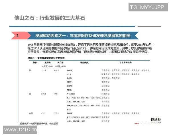 深圳足球队的运营揭秘：从管理到战术的全景分析与深度探讨