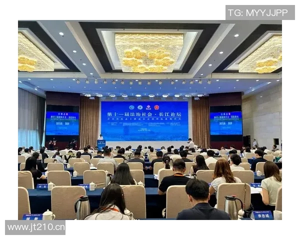 以法治为核心推动社会治理现代化建设的路径与挑战分析